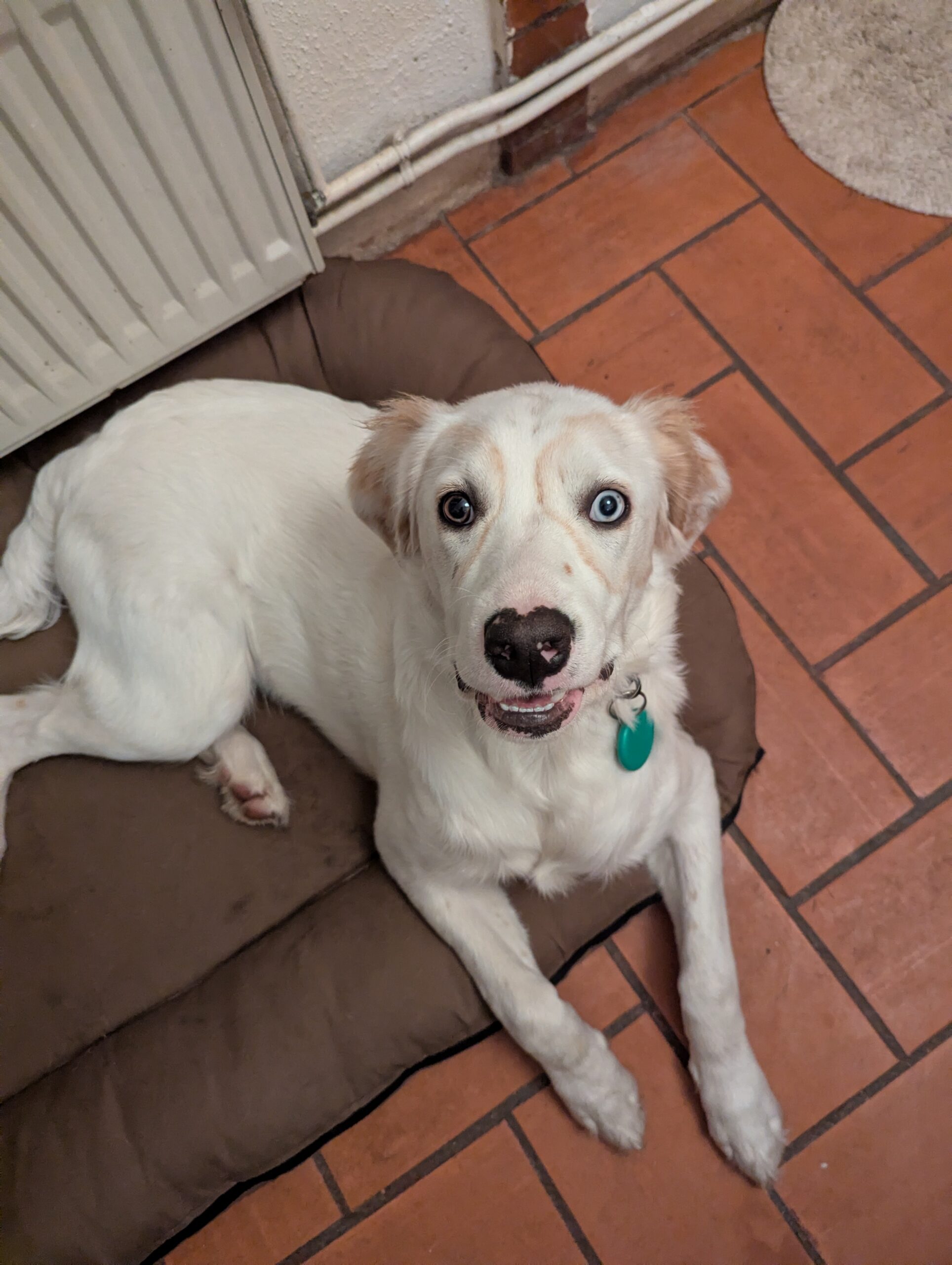 Bienvenue sur GR Games